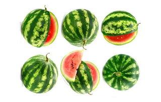 娱乐吃瓜固定模版如何做,揭秘明星幕后故事,带你领略明星们的真实生活 第1张 娱乐吃瓜固定模版如何做,揭秘明星幕后故事,带你领略明星们的真实生活 第1张